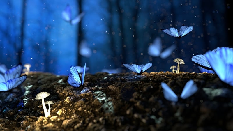 Magical Forest Setting